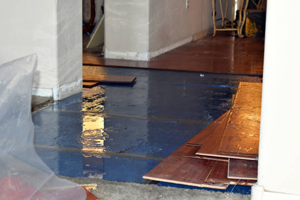 Professional Basement Flood Cleanup technician working in Bath, IN